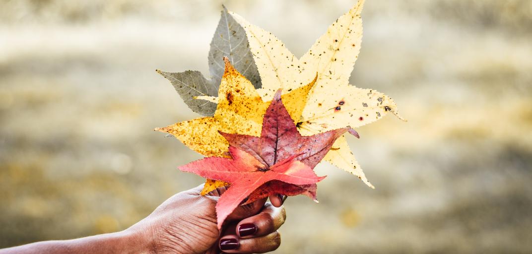 Photo by Elias Morr on Unsplash Photo by Elias Morr on Unsplash