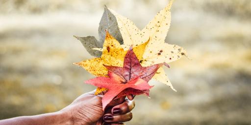 Photo by Elias Morr on Unsplash Photo by Elias Morr on Unsplash